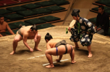 Vì sao ở Nhật nhiều nữ nghệ sĩ xinh đẹp lại bằng lòng lấy đô vật Sumo?