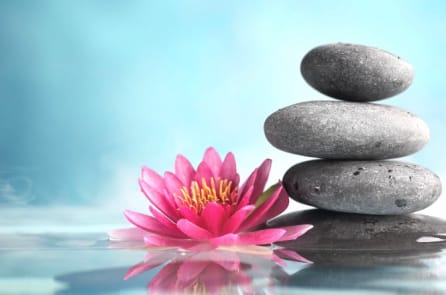 15 thói quen giúp bạn sống an lạc cả đời