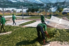 Nghịch lý tăng lương tại Việt Nam