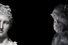 Tính toán di truyền học: Mất quá lâu để vượn người tiến hóa thành người