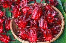 7 lợi ích của hoa Bụp giấm