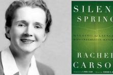 ‘Mùa xuân im lặng’ – cuốn sách thay đổi nhận thức của cả 1 thế hệ về thuốc trừ sâu