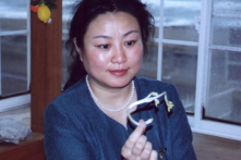 Báo cáo khoa học: Hạt giống nảy mầm cực nhanh nhờ năng lượng khí công