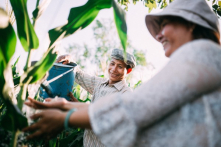 Thấu hiểu nhau hà tất phải mượn tới muôn vạn lời nói?