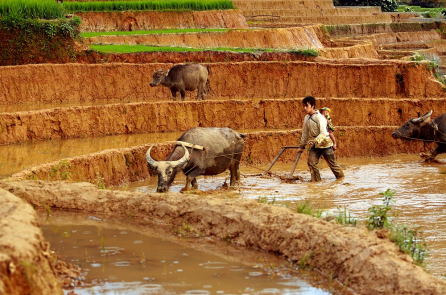 Những lãnh đạo chỉ biết bán đất