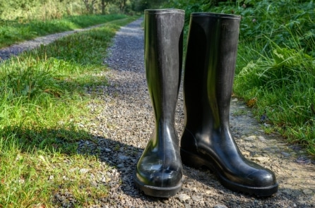 Niềm vui vô hạn khi bạn cho đi