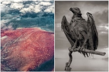 Natron: Hồ nước ‘hóa đá’ các sinh vật xấu số