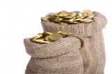 shutterstock bag of gold