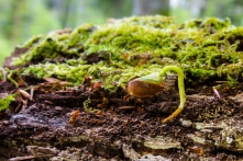 Bạn đối diện với cuộc sống thế nào thì sẽ mang đến kết quả thế ấy