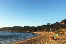 Sài Gòn trong giấc mơ không ngủ