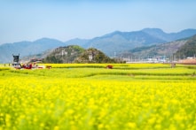 10 thành phố được “Mẹ thiên nhiên” ưu ái thời tiết ấm áp quanh năm