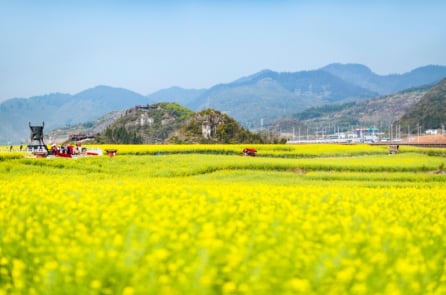 10 thành phố được “Mẹ thiên nhiên” ưu ái thời tiết ấm áp quanh năm