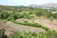 Hơn 28.000 tỷ đồng để bảo vệ, khôi phục rừng Tây Nguyên