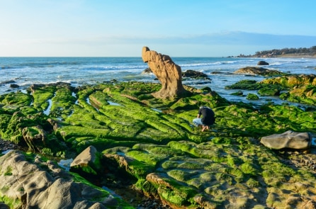 Những ốc đảo 5 sao