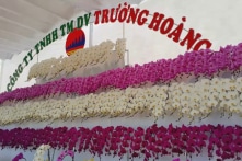 Xả thải vượt 11,79 lần quy chuẩn, một doanh nghiệp bị xử phạt 300 triệu đồng