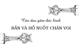 Quái chiêu tạo hình nghệ thuật Đông Sơn: Cán dao găm đúc hình rắn và hổ nuốt chân voi