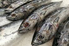 17 lô hàng nông-thủy sản bị EU từ chối, giám sát: Chứa thủy ngân, chất cấm sử dụng