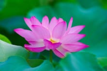 Một lời nói thiện có thể thay đổi cuộc đời của người khác