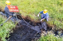 Truy tìm hai nghi phạm đổ thải chất độc ra mương