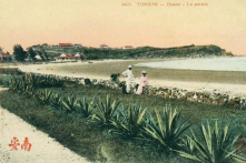 Lịch sử Đồ Sơn – Vũ Bằng