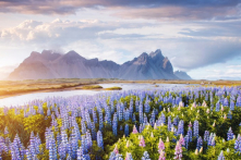 7 câu ngạn ngữ chứa đựng đạo lý nhân sinh sâu sắc