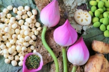 Đông y: Mọi bộ phận của cây sen đều là thuốc