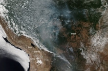 Cháy rừng Amazon có thể nhìn thấy từ không gian, khói che mặt trời São Paulo