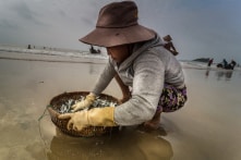 Đánh giá lại quy mô GDP, sao không tìm giải pháp nâng năng suất lao động?