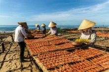 Ngân hàng Phát triển châu Á dự báo tăng trưởng GDP 2024 của Việt Nam mức 6%