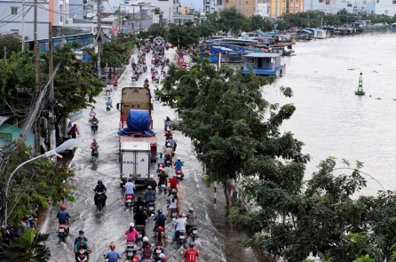 Mẫu số bi kịch