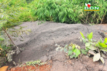 Thêm 19 tấn tro bay từ nhà máy Alumin Nhân Cơ bị đổ trộm ra môi trường