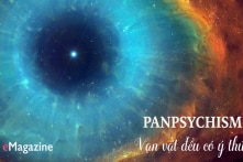 Panpsychism – Trường phái triết học mới: Vạn vật đều có ý thức