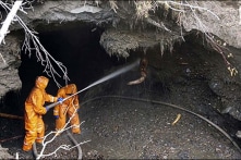 Nghĩa địa voi ma-mút 50.000 tuổi quý giá bị thợ săn ngà voi phá hoại