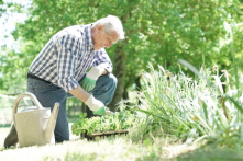 10 đạo lý tưởng giản đơn mà lại hết sức sâu sắc