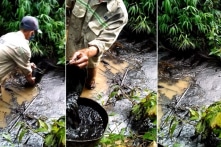 Cần minh bạch thông tin về loại dầu thải đổ vào nguồn nước sông Đà