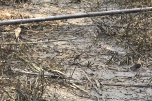 ‘Nước sạch sông Đà nhiễm dầu thải’: Nhiều câu hỏi còn bỏ ngỏ