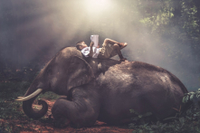 Đọc sách để làm gì?