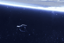 Châu Âu phóng robot cảm tử “ôm” rác vũ trụ ra khỏi quỹ đạo