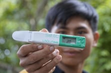 Mặn xâm sâu bất thường tại miền Tây