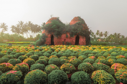 Mãn nhãn với làng hoa Cái Mơn dịp Tết nhìn từ trên cao