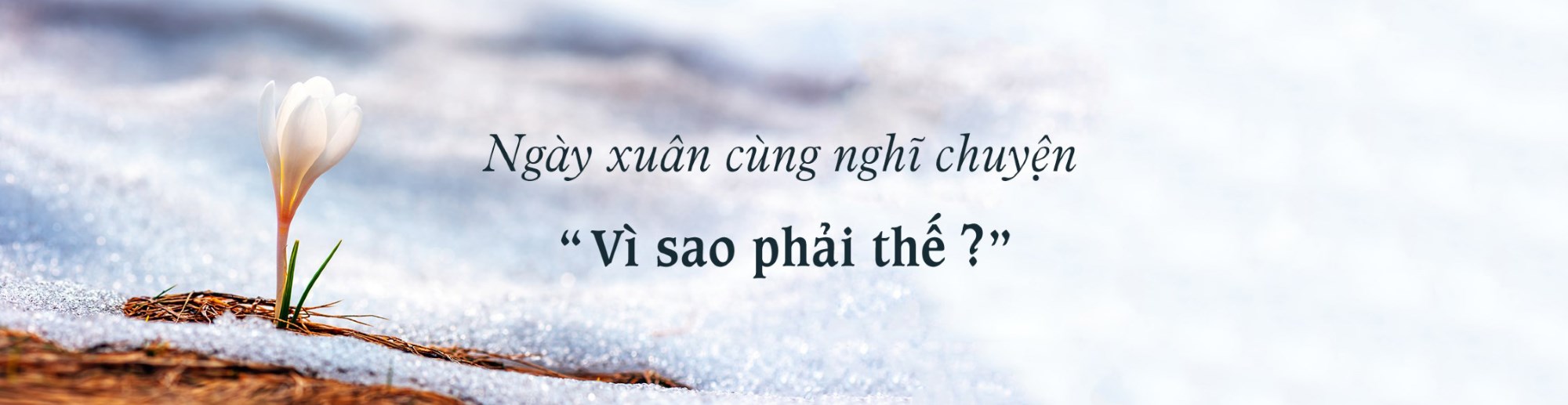 Mùa xuân chính nghĩa