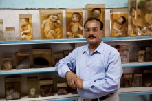 Chuyện vị bác sĩ thực hiện 815 vụ giám định pháp y trong 1 đêm