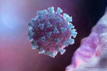 4 đường xâm nhập tế bào người, virus Vũ Hán thực sự là siêu virus