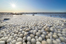 “Trứng băng” – Hiện tượng kỳ diệu của thiên nhiên