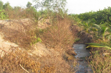 Diễn ra sớm trước 2 tháng, hạn mặn sẽ khốc liệt hơn trong tháng 3 và 4