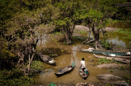 Nước bạc hay người bạc