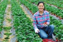 Để nuôi dưỡng trái tim khỏe mạnh cần tránh 9 yếu tố này