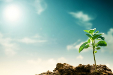 6 tu dưỡng để trở thành người biết tôn trọng người khác