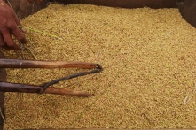 Hai bộ Công thương, Tài chính phải báo cáo Thủ tướng việc mua/bán gạo