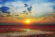 Đem hào quang đến vận mệnh